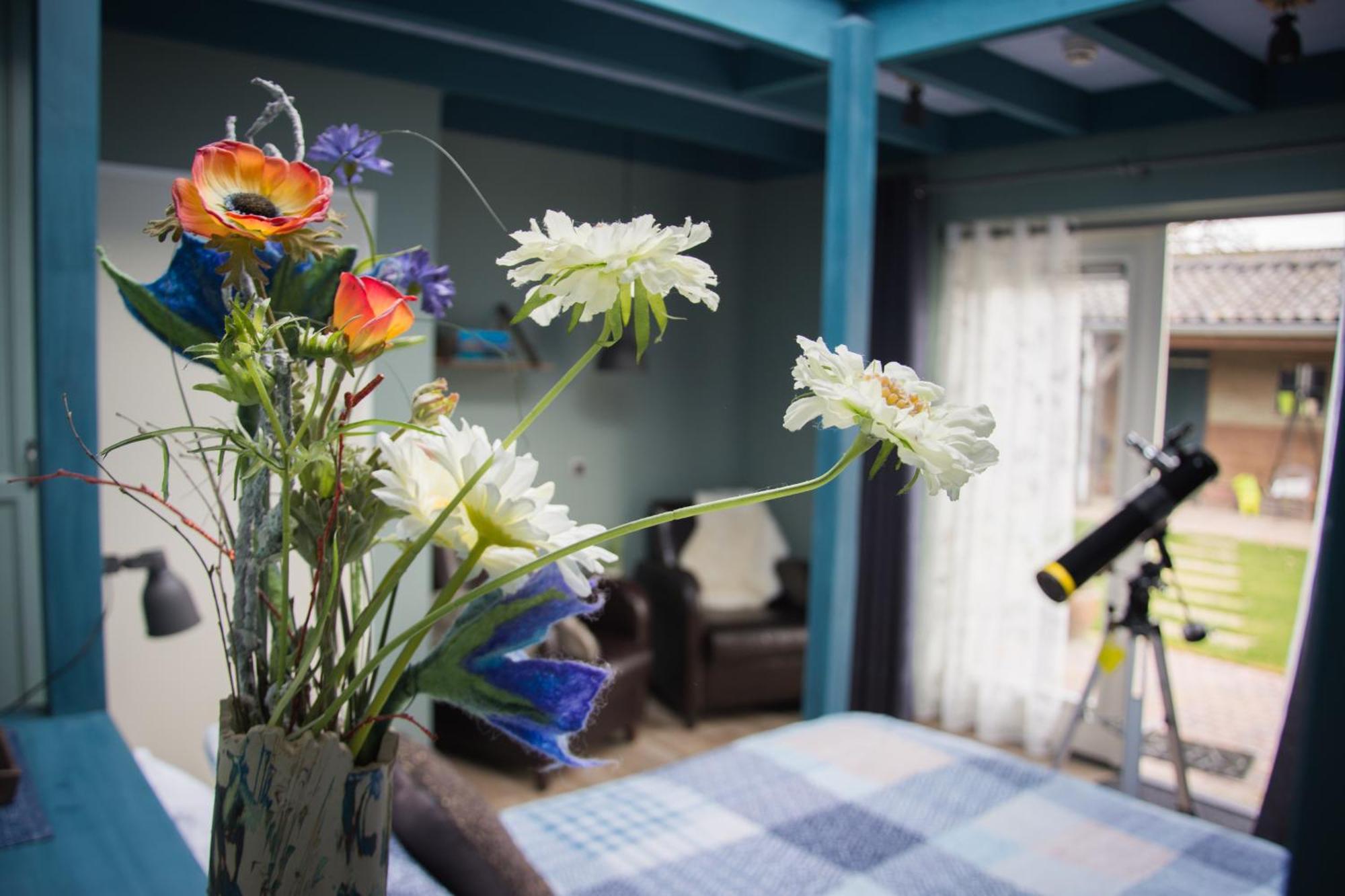 Studio with Garden View,1430205163:JPEG