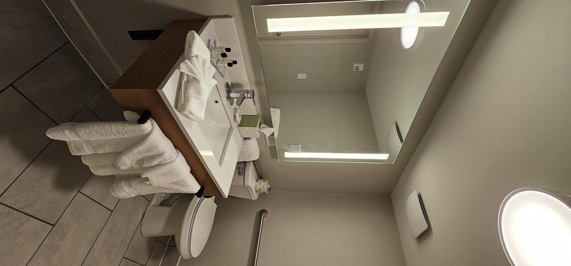 King Room with Roll-in Shower - Mobility Access/Non-Smoking