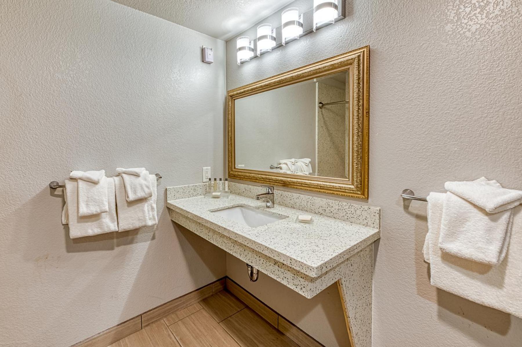 King Room with Roll-In Shower - Accessible/Non Smoking