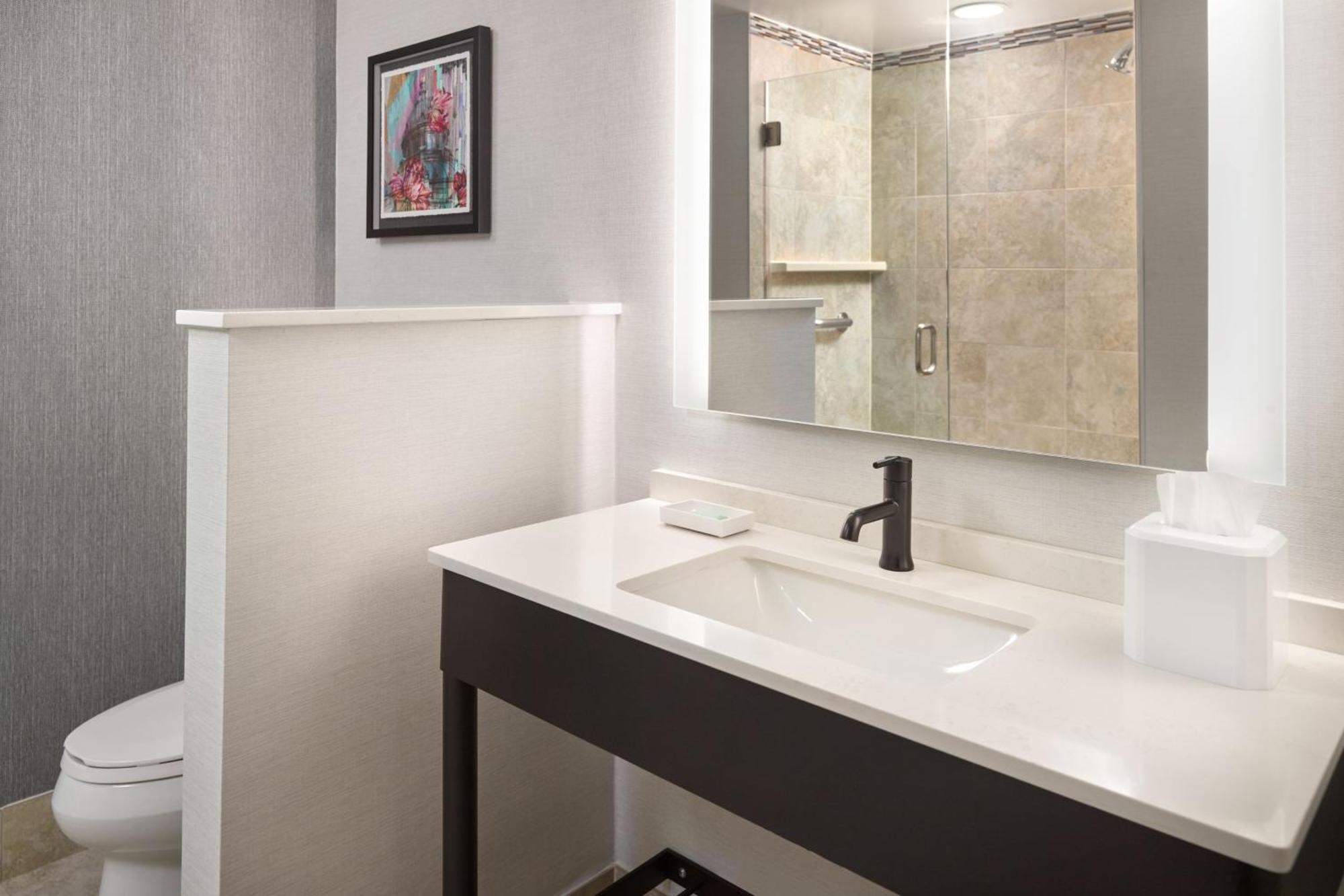 Executive King, Guest room, 1 King, Sofa bed