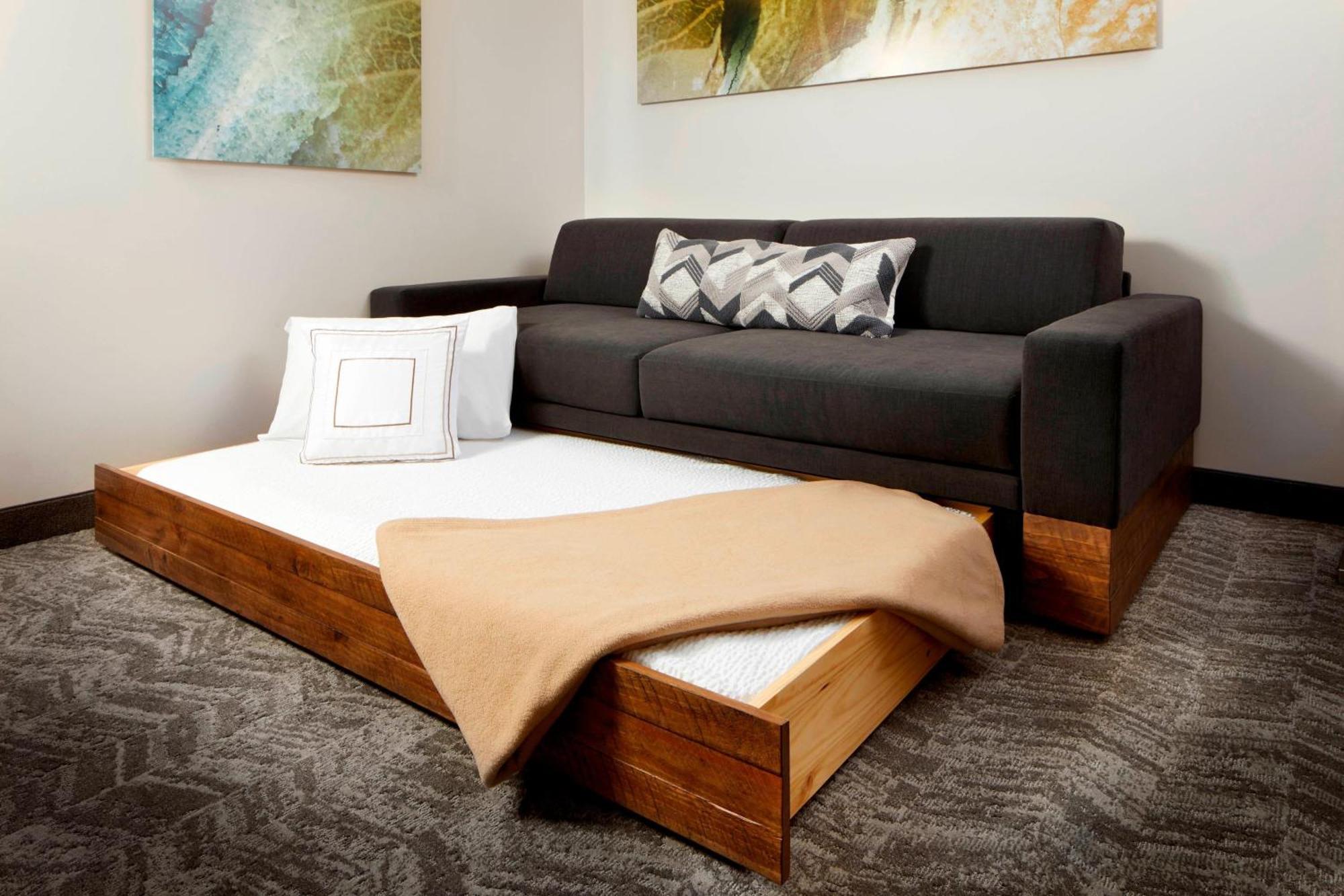 King Suite with Trundle Sofa