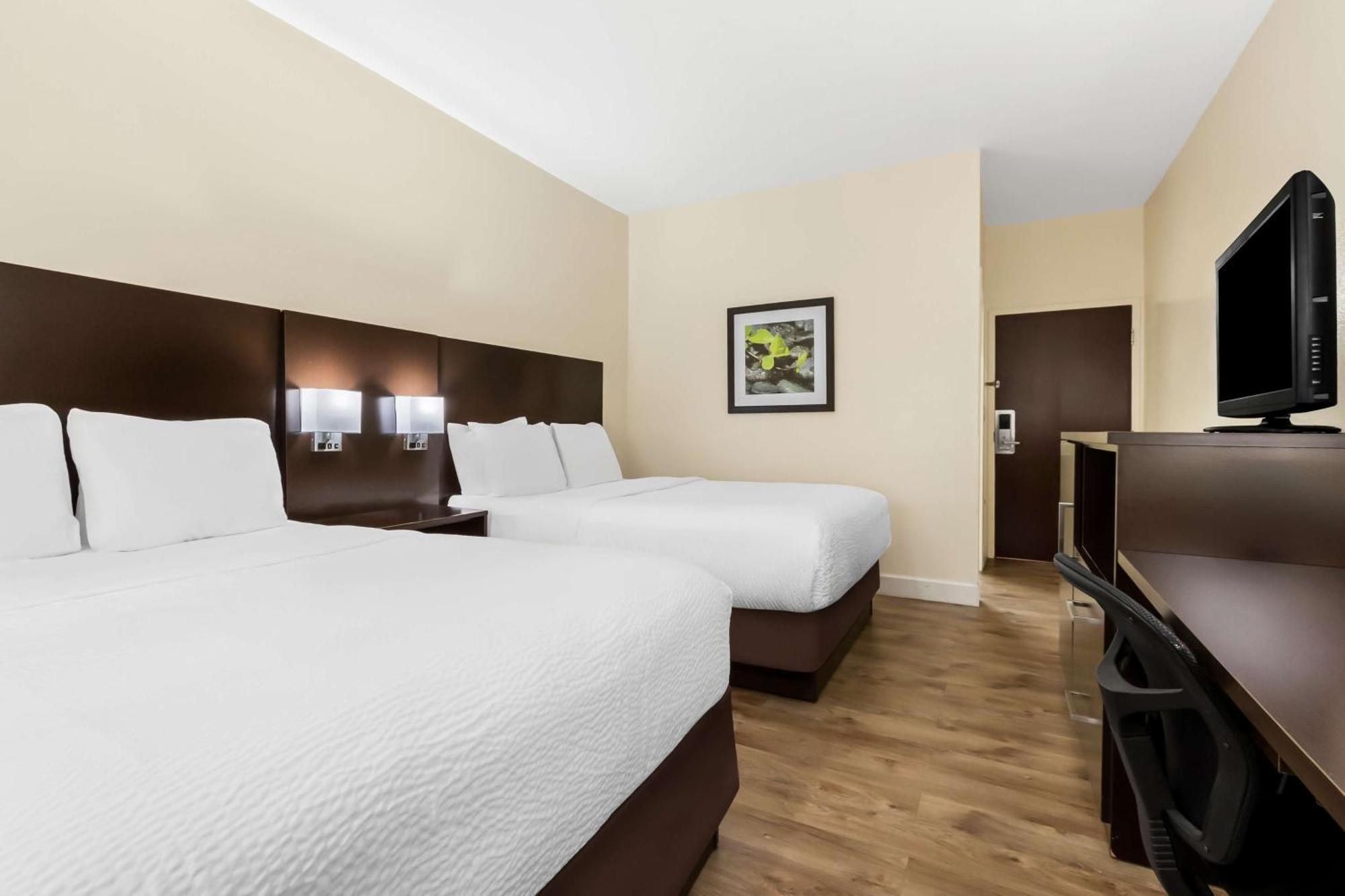 Suite with Two Double Beds - Disability Access