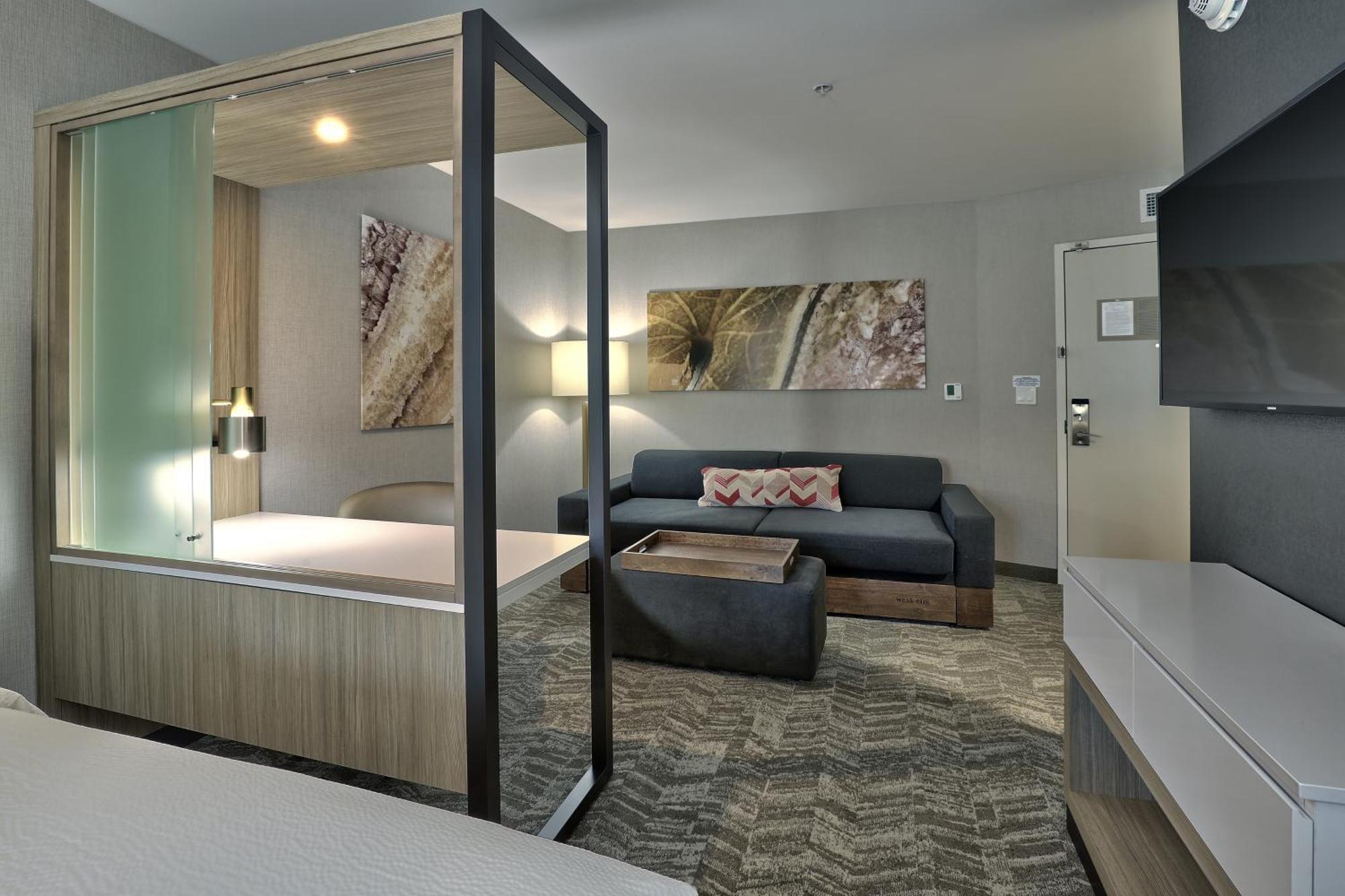 Suite, 1 King, Sofa bed, City view