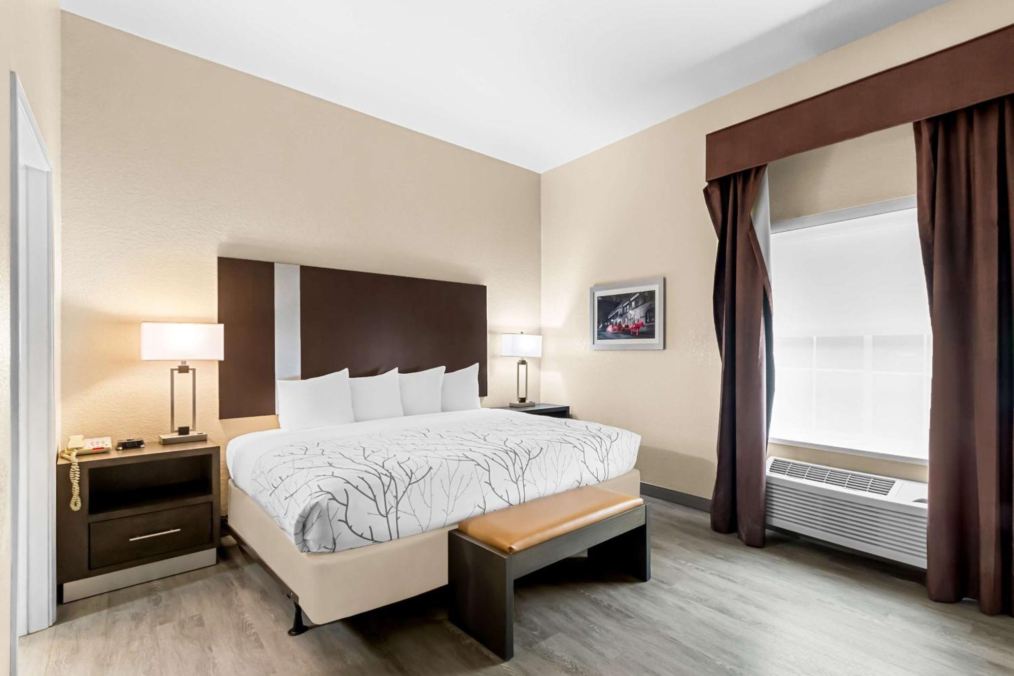 King Suite with Sofa Bed and Roll-In Shower - Disability Access/Non-Smoking