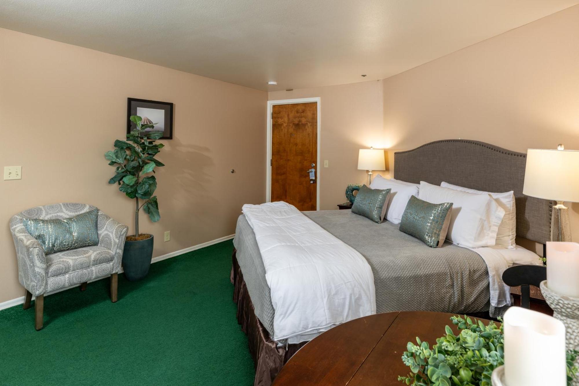 King Room with Mountain View - Pet Friendly