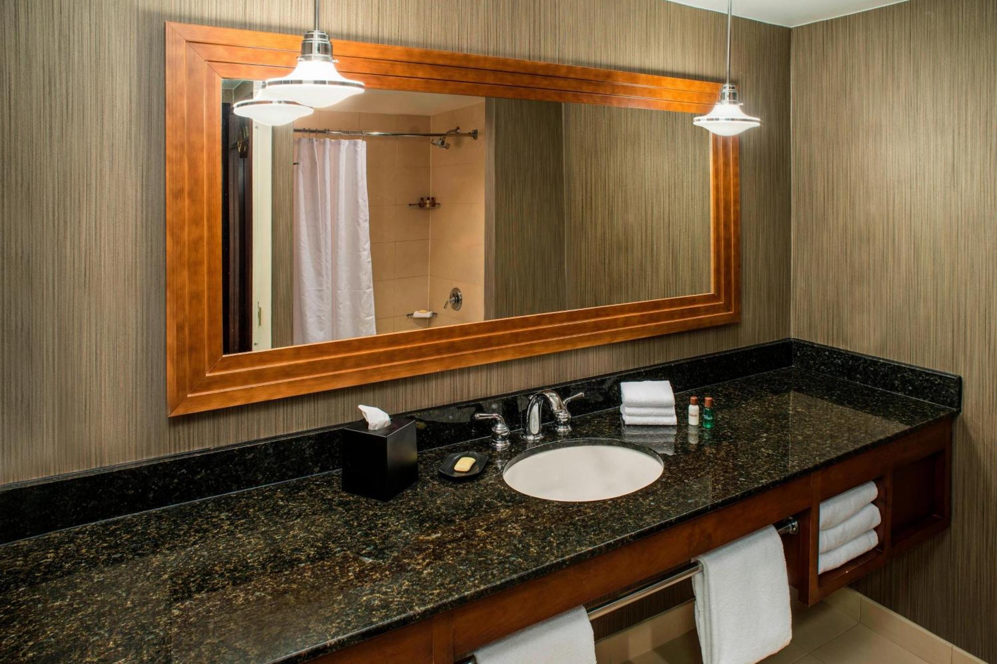 Guest room, 1 King, Capitol view