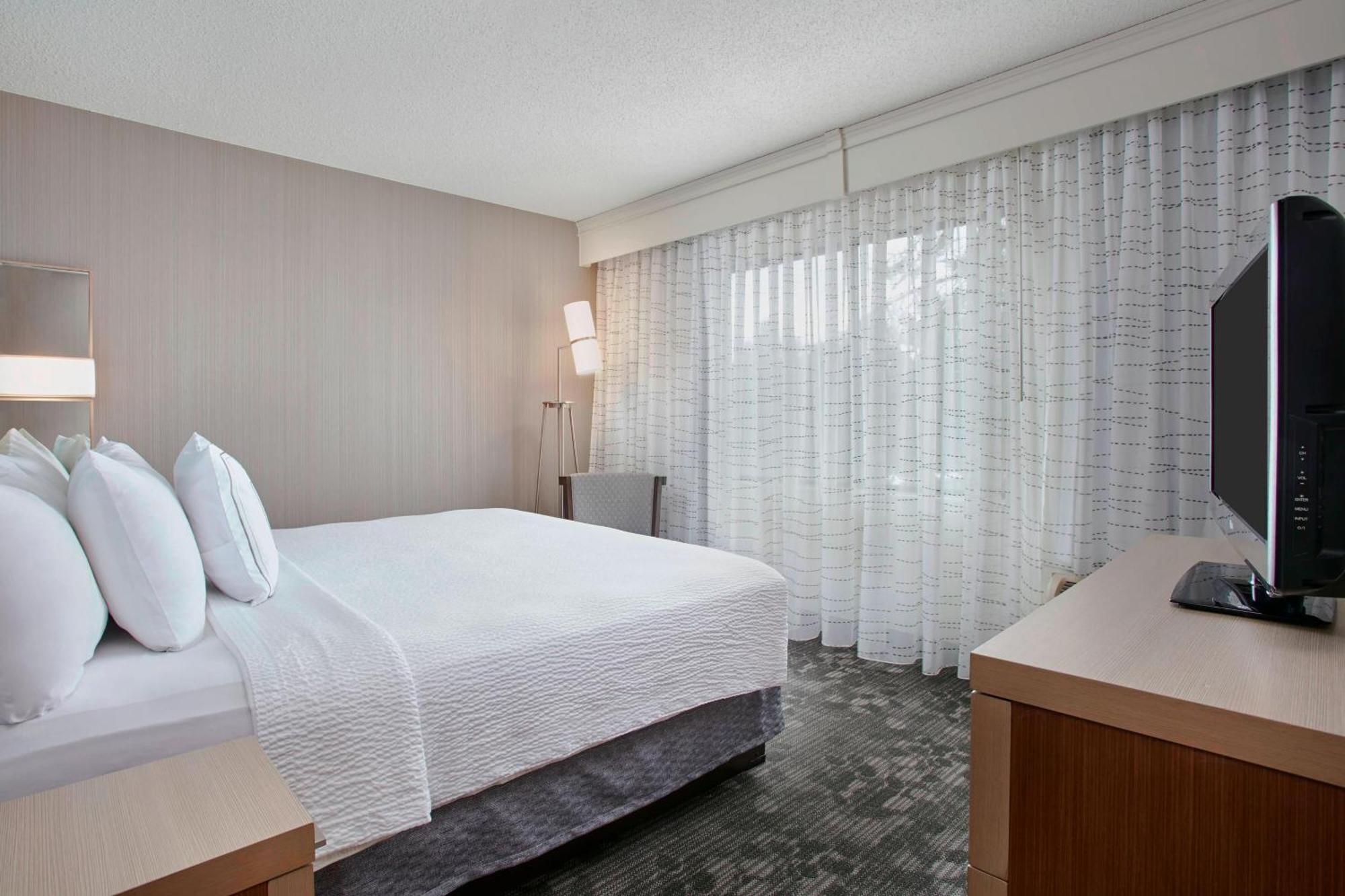 Large One-Bedroom King Suite with Sofa Bed