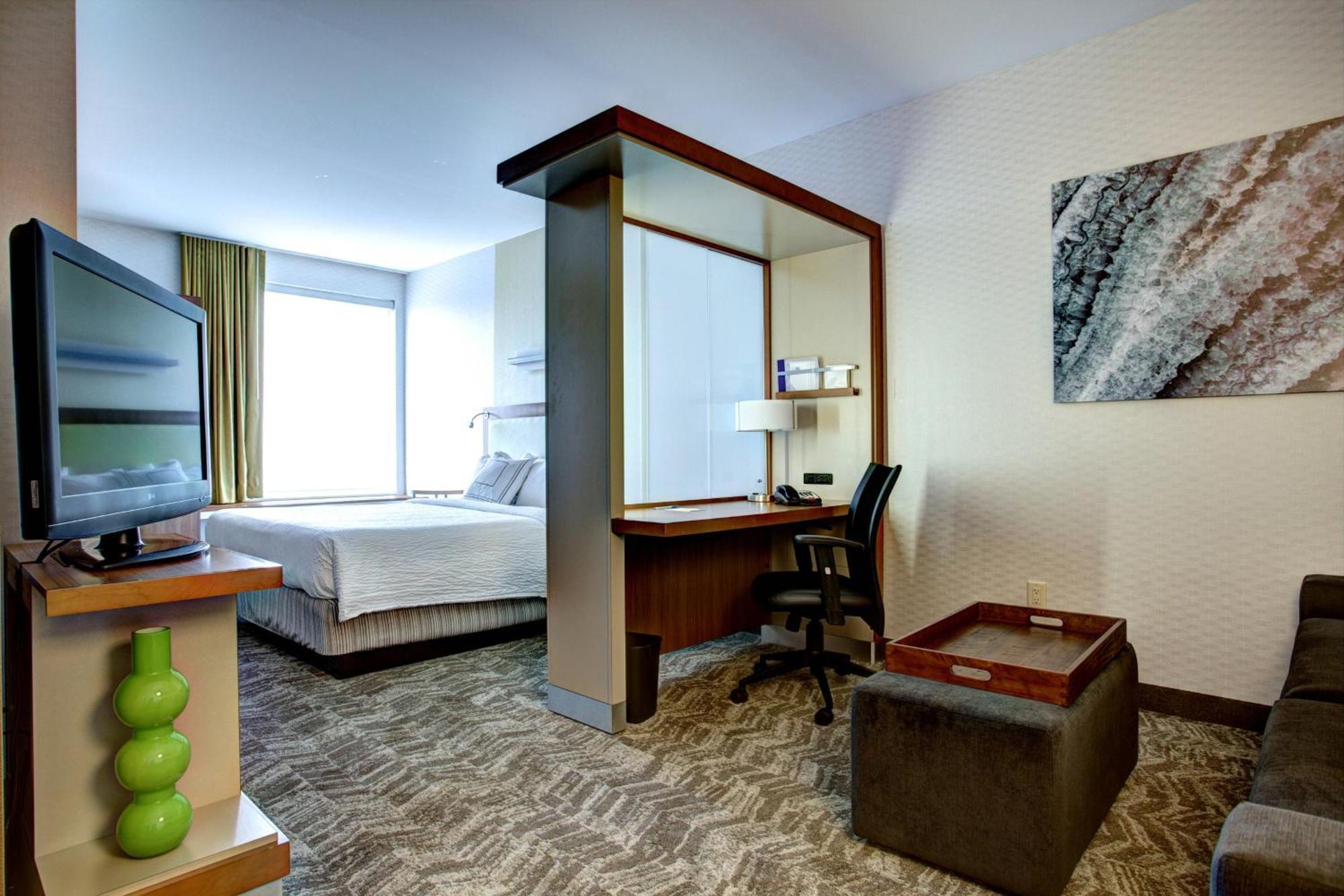 King Suite with Roll-In Shower and Trundle Sofa - Mobility Access/Hearing Accessible
