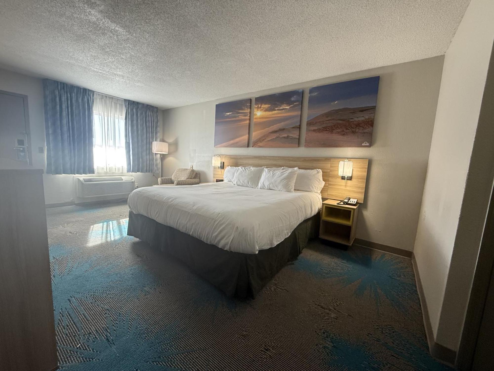 King Room - Pet Friendly/Non-Smoking