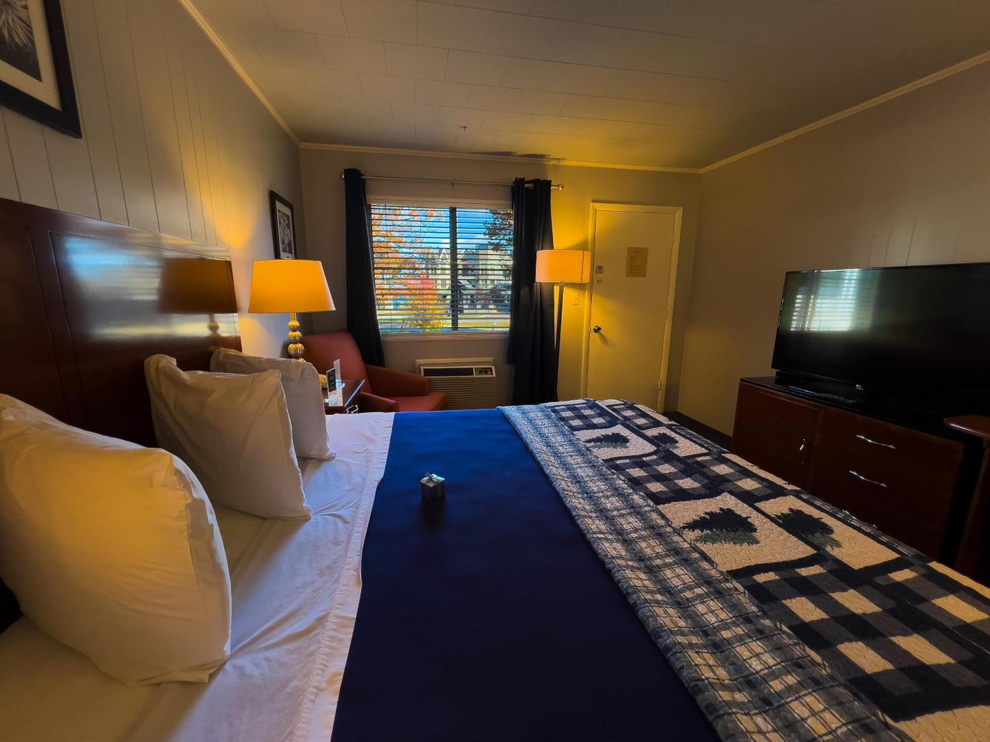 King Room with Garden View