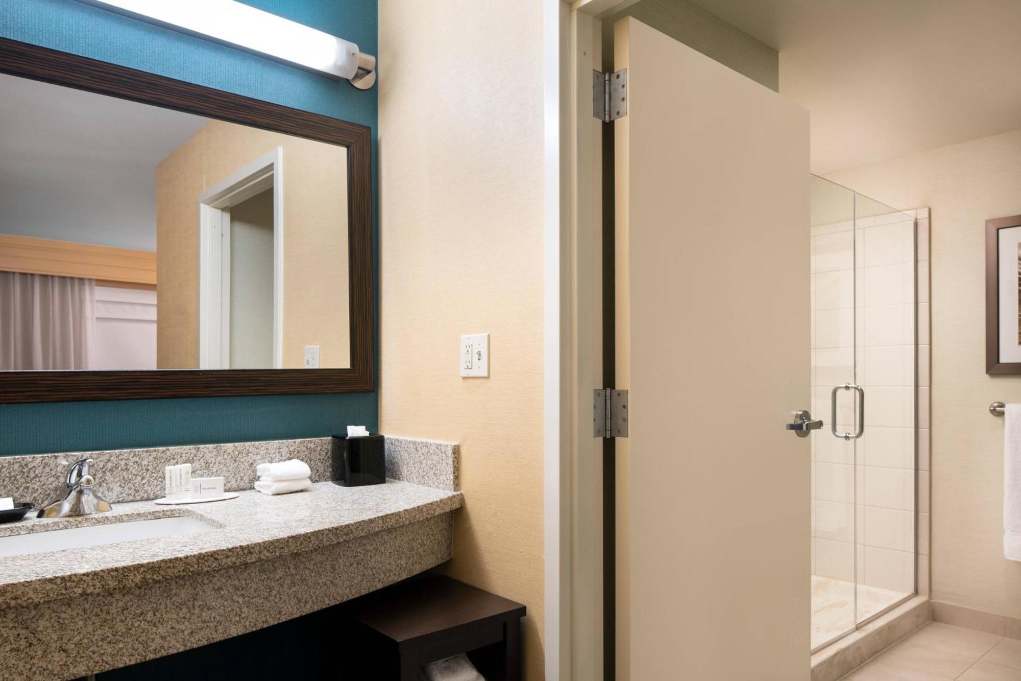 One-Bedroom King Suite - Mountain View