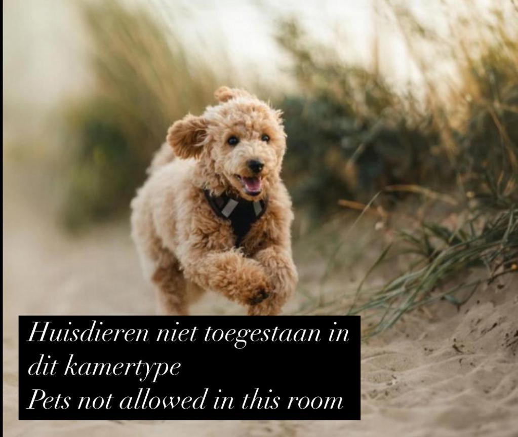 Deluxe Tweepersoonskamer met een Douche