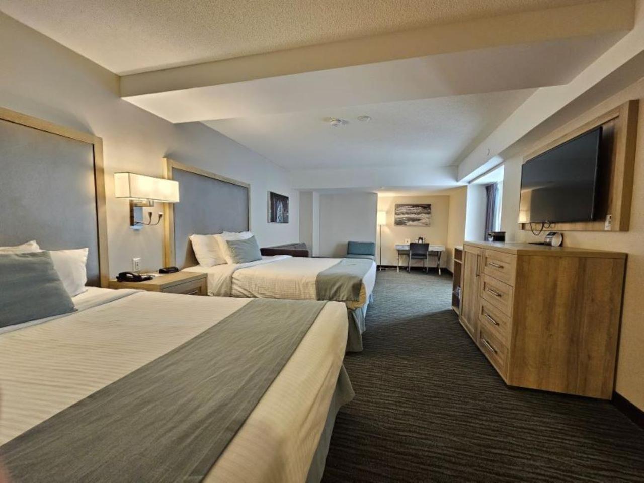 Studio Guest room, 2 Queen Beds & Sofa Bed