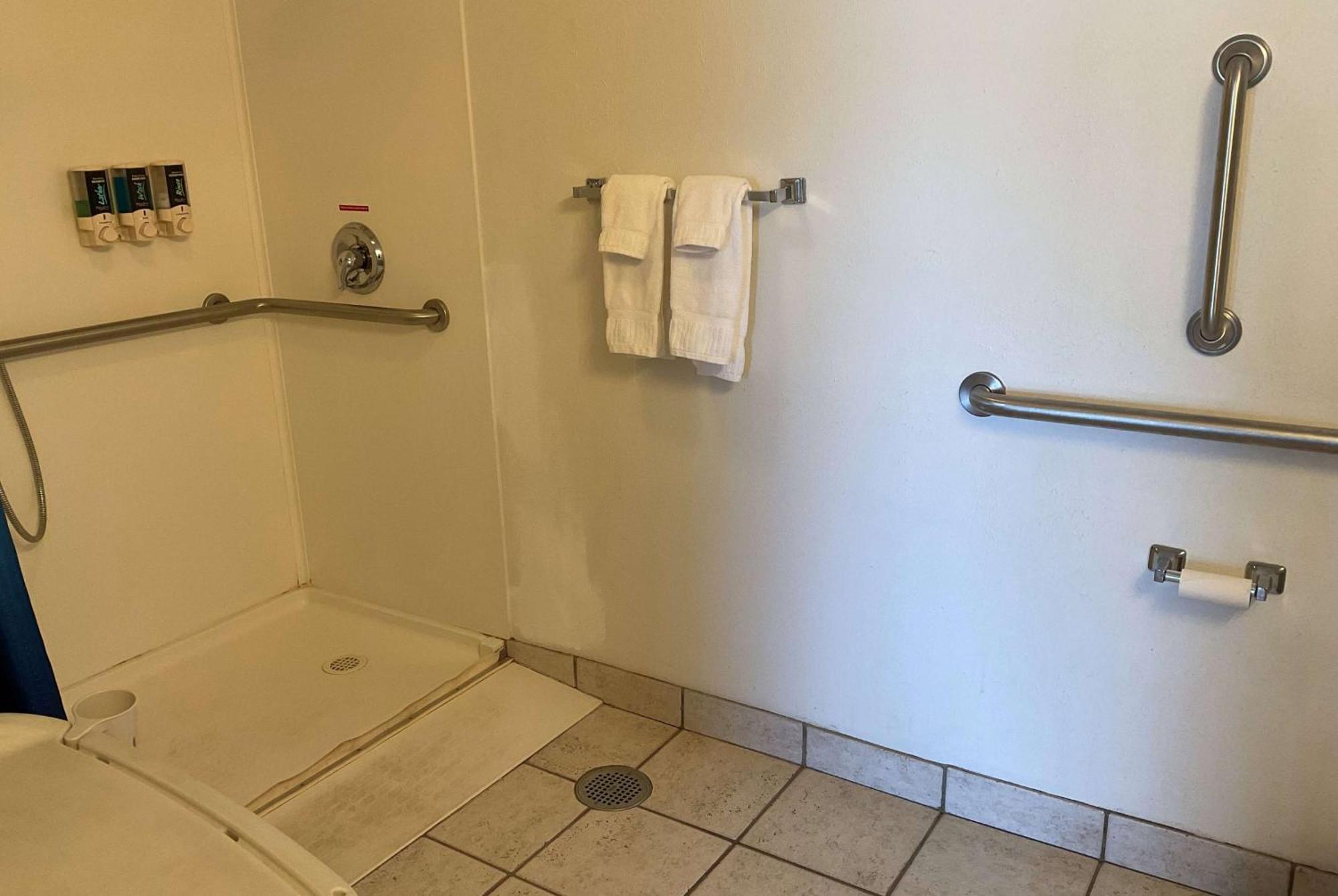 Queen Room with One Queen Bed and Roll-In Shower - First Floor - Mobility Accessible - Non-Smoking - Mobility Accessible - First Floor