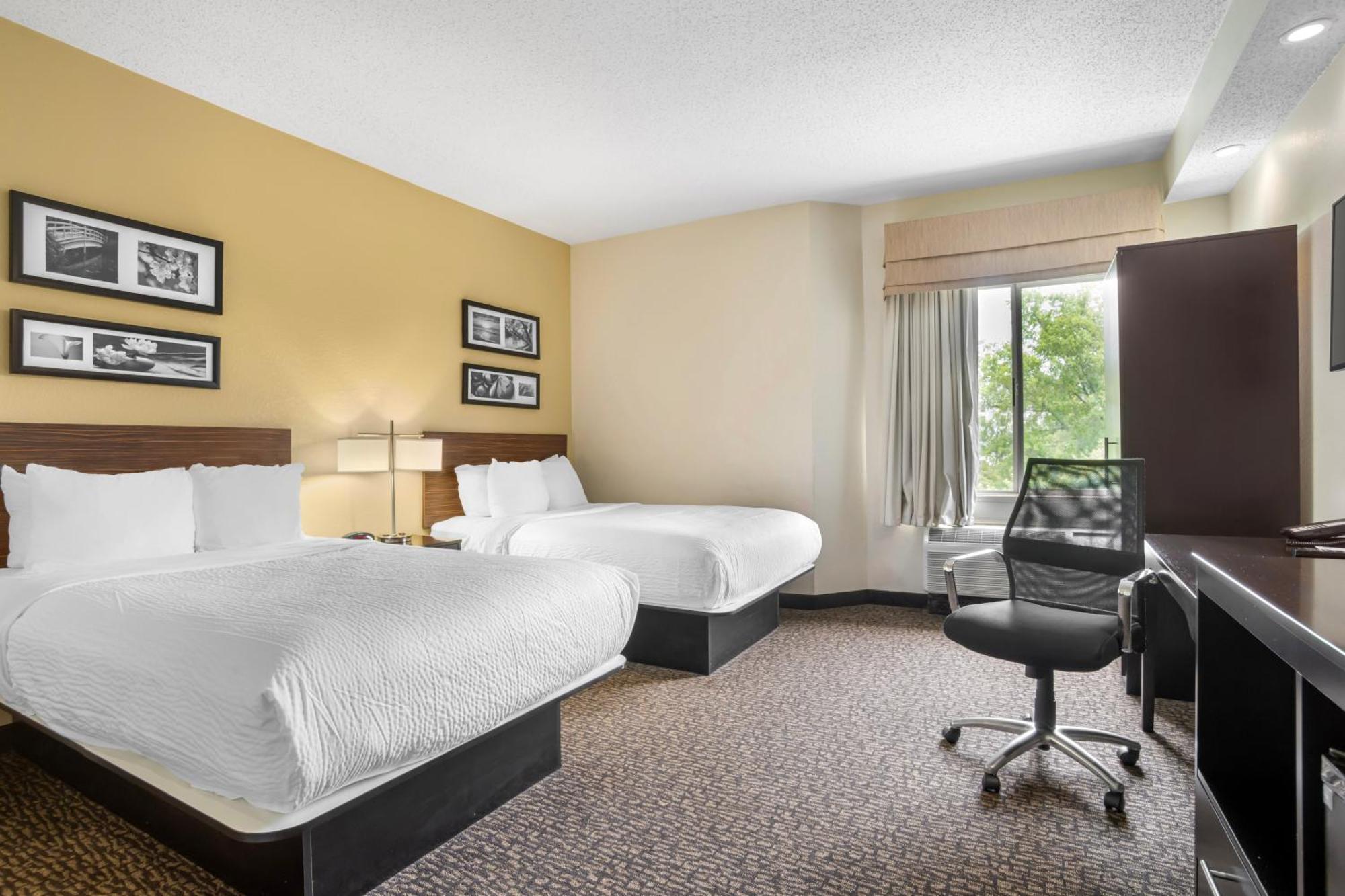 Double Suite with Two Double Beds - Non-Smoking