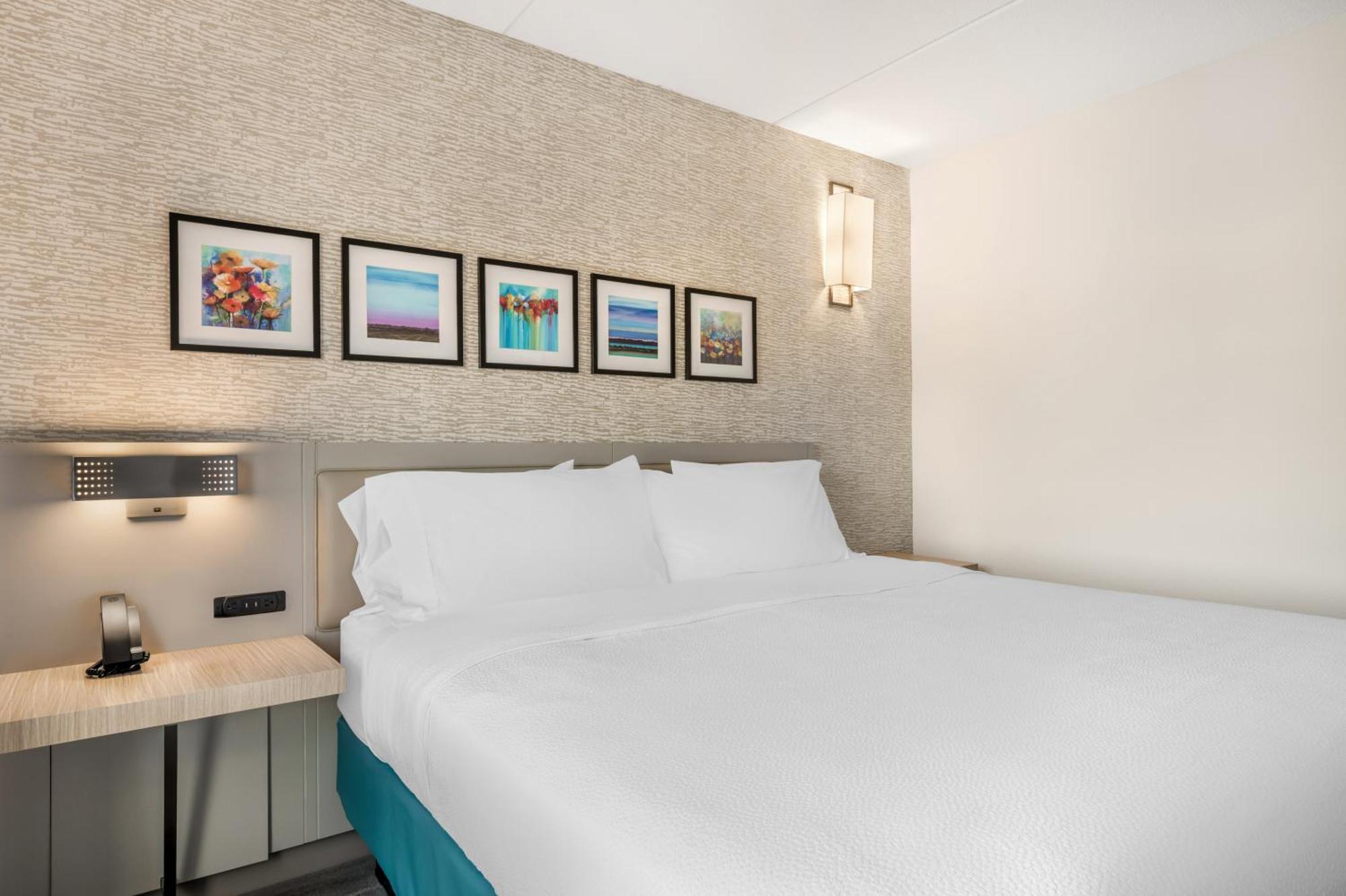 One-Bedroom King Suite with Twin Sofa Bed