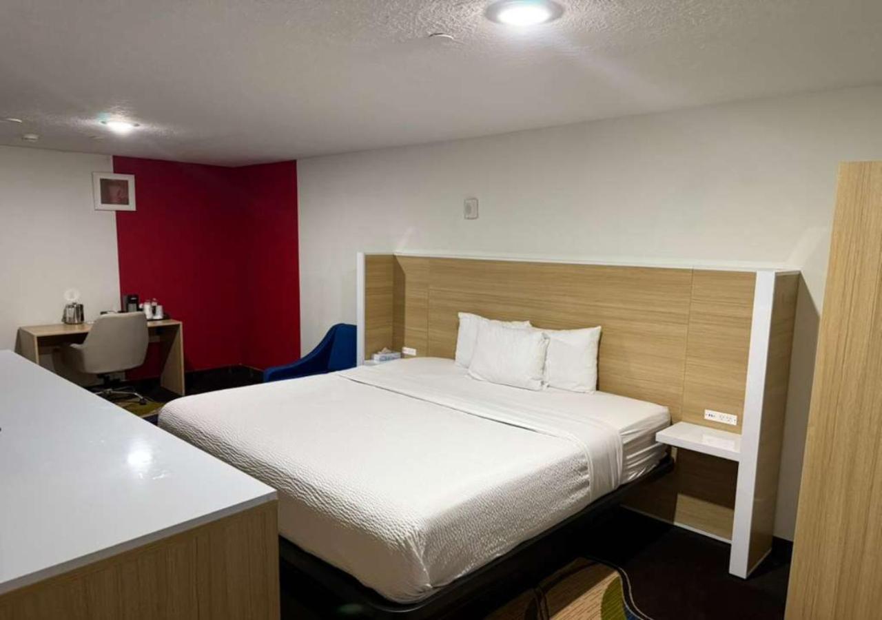 King Room - Pet Friendly/Non-Smoking