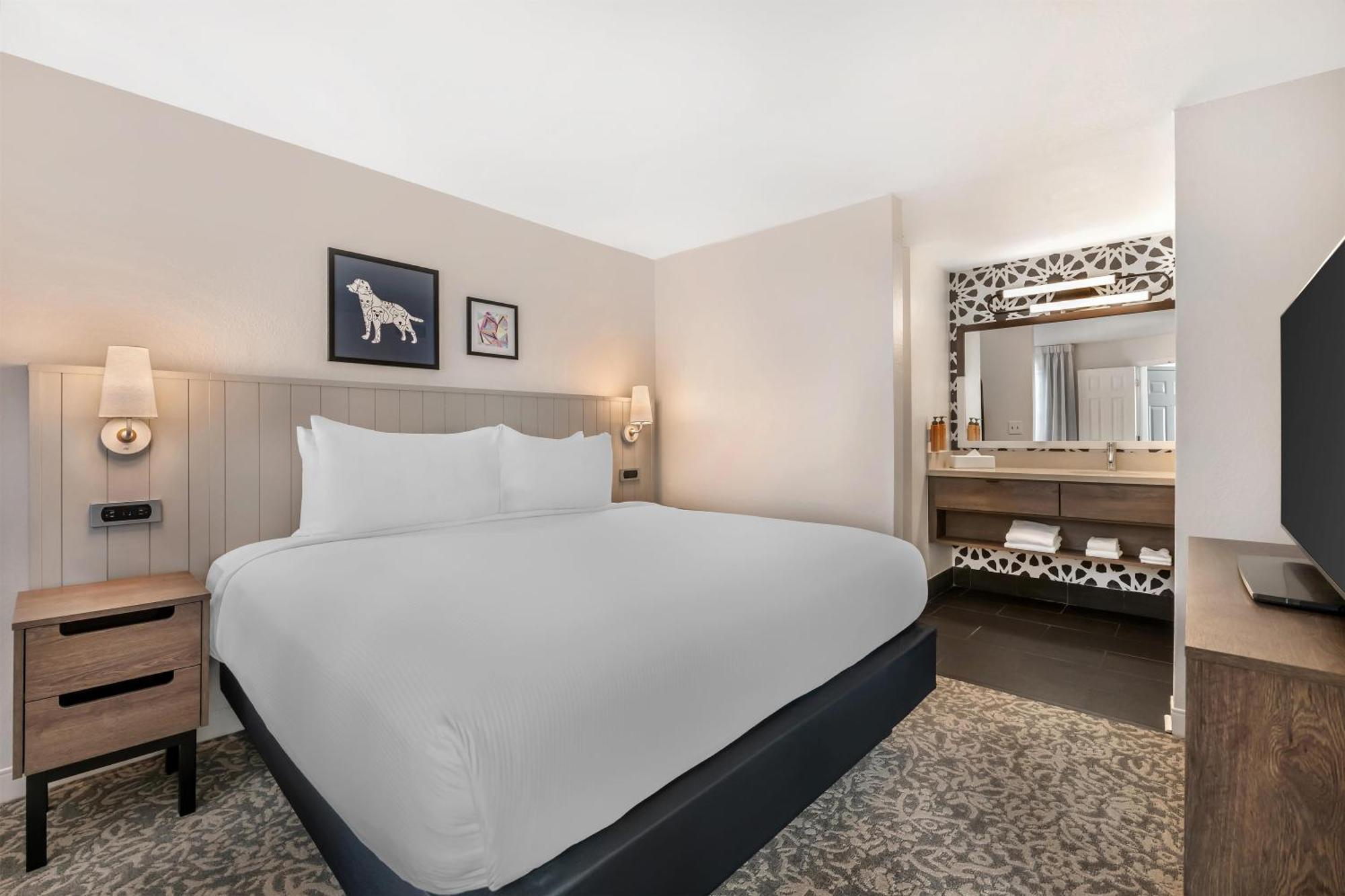 Suite met 1 Slaapkamer met Kingsize Bed