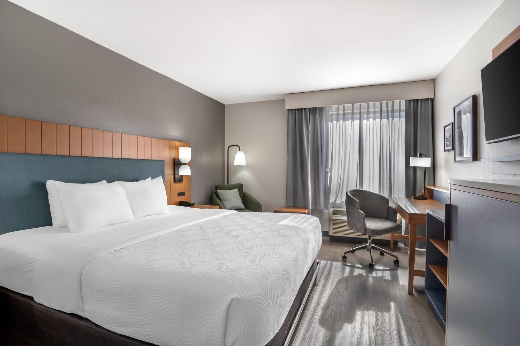 King Room with Roll-in Shower - Non-Smoking