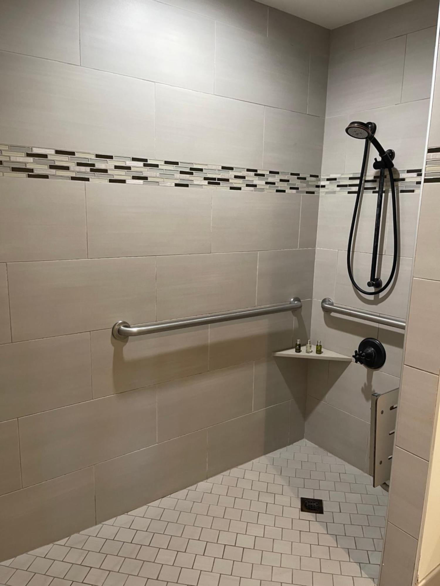 King Room with Roll-In Shower - Disability Access