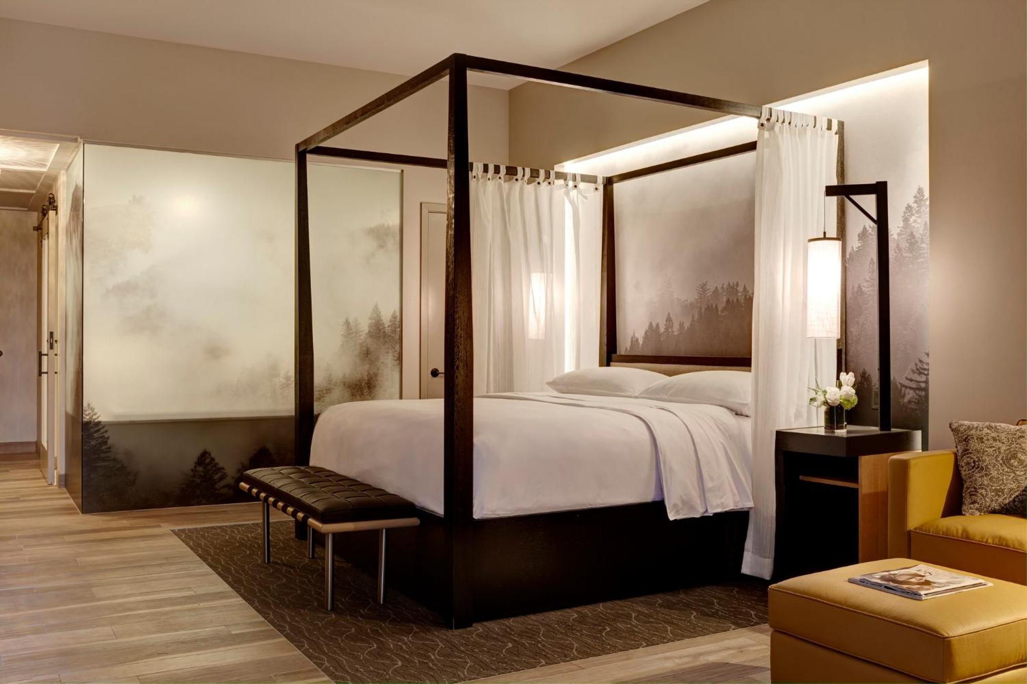Archer King Mobility-Accessible Suite With Balcony + Fireplace, Roll-in Shower,1743052441:JPEG