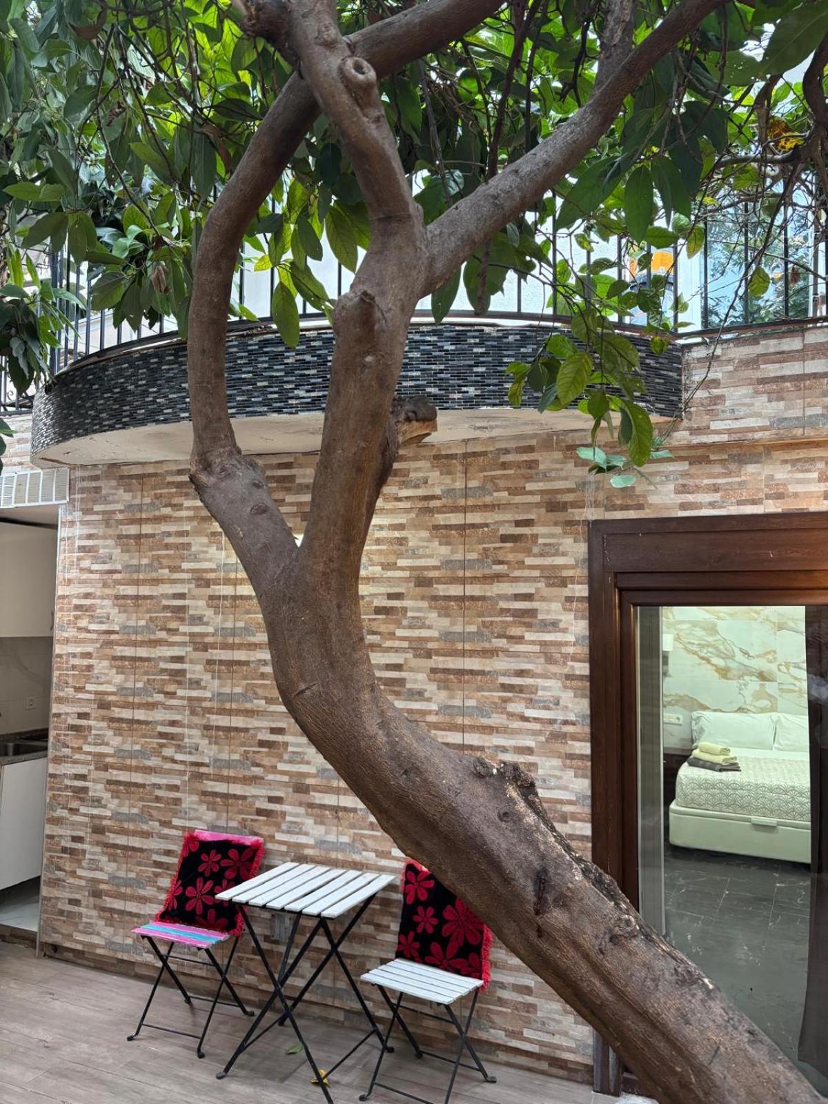 Monolocale con Terrazza