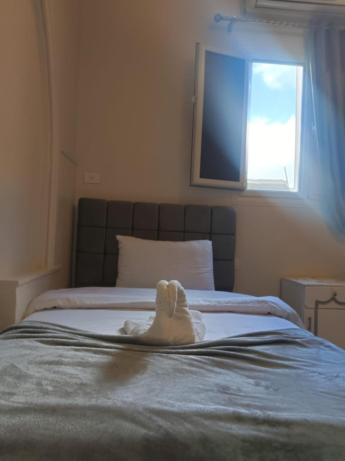 Superior Twin Room,1745389253:JPEG