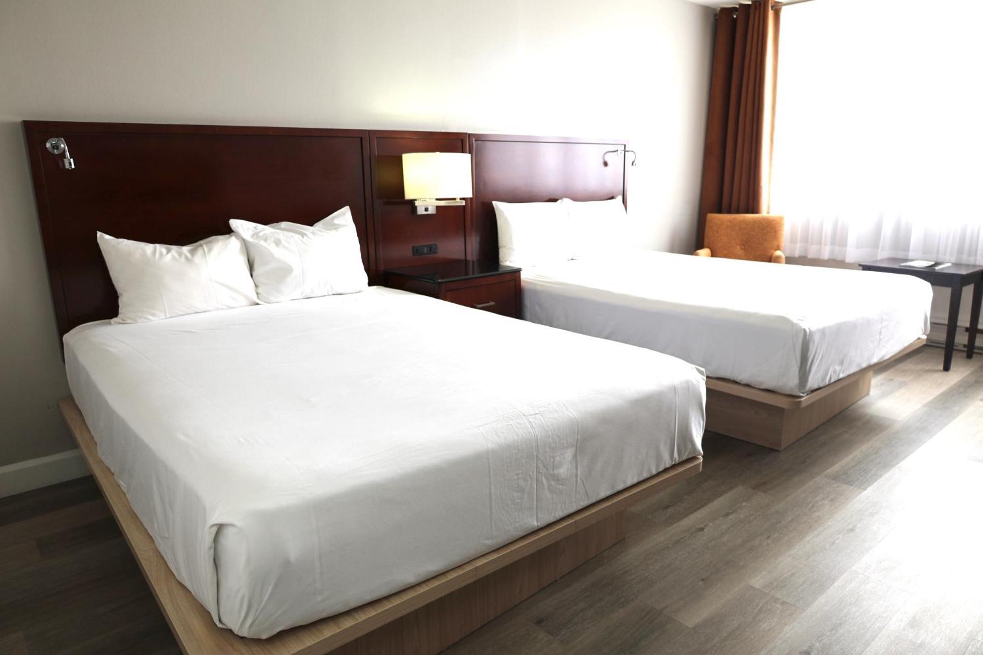 Distinction Queen Room with Two Queen Beds