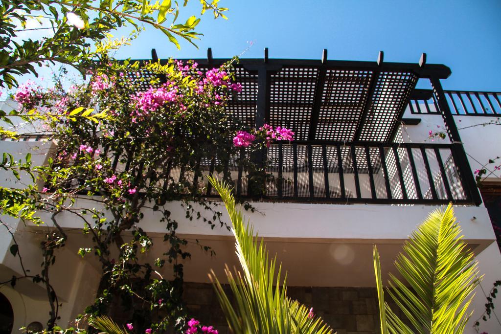 Appartement - Vue sur Jardin - En Duplex