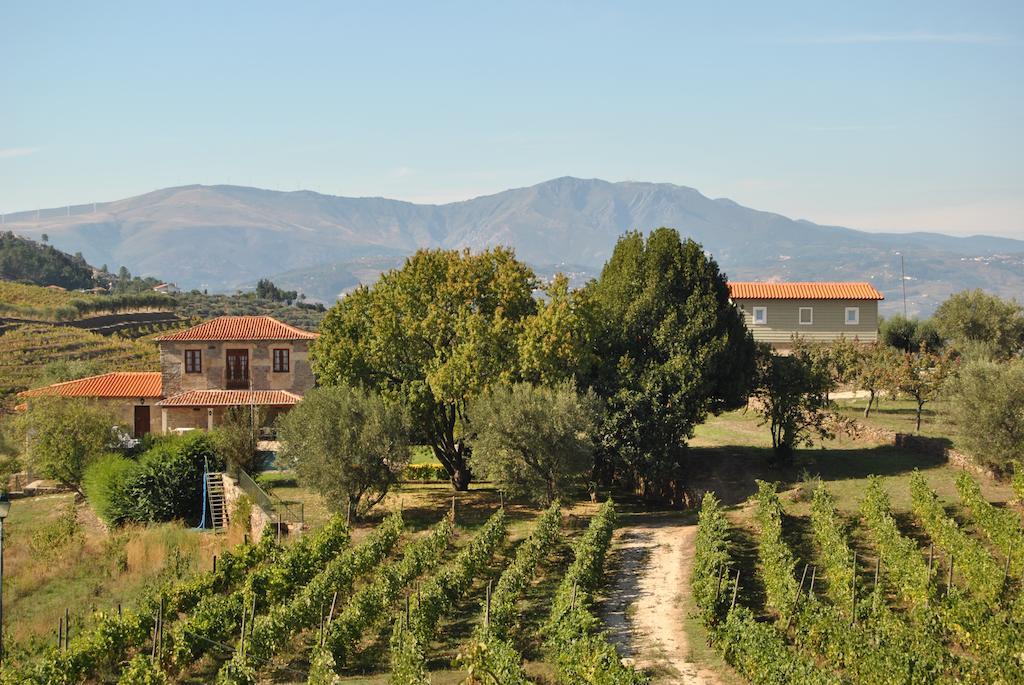 Casa de 1 Quarto