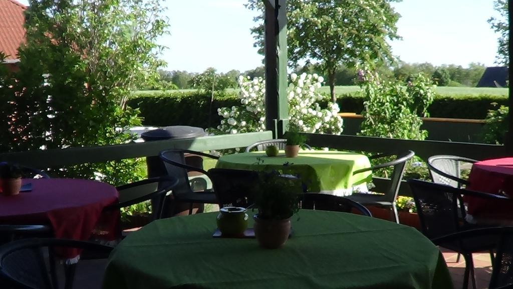Double Room with Terrace and Lake View,250859553:JPEG