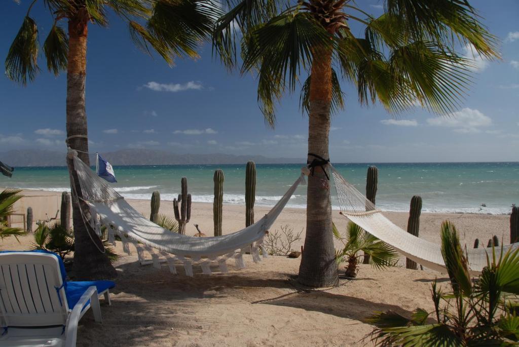 Beachfront Suite,149178185:JPEG