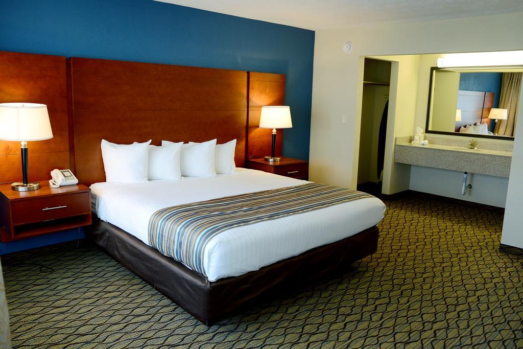 Courtside King Room - Pet Friendly