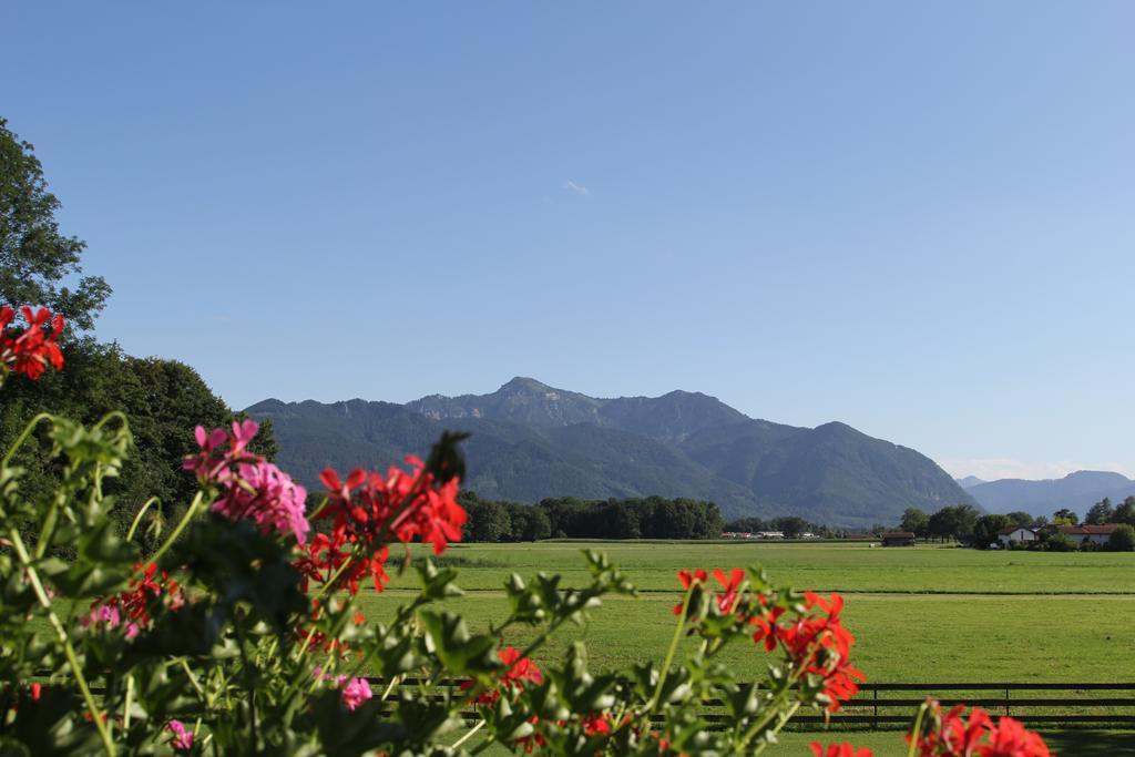 Comfort Doppelzimmer mit Bergblick und einem Balkon