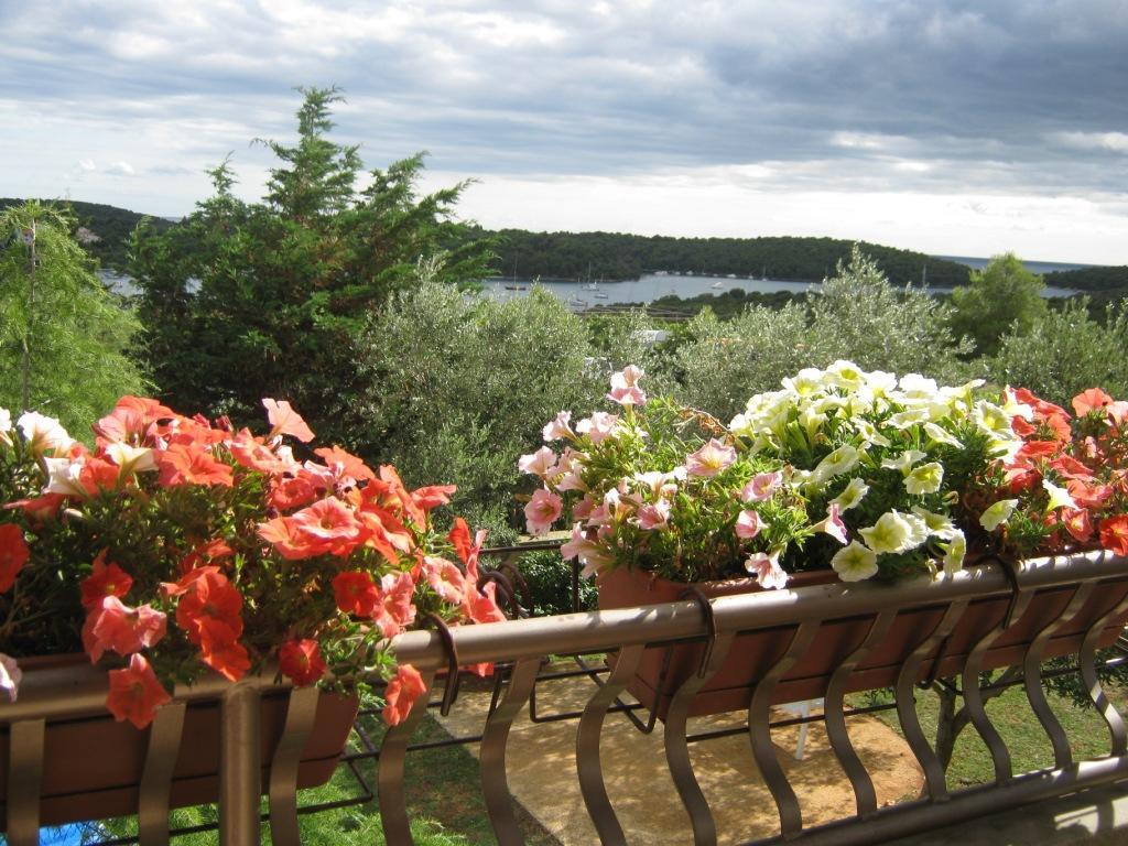 Appartamento con Vista Mare