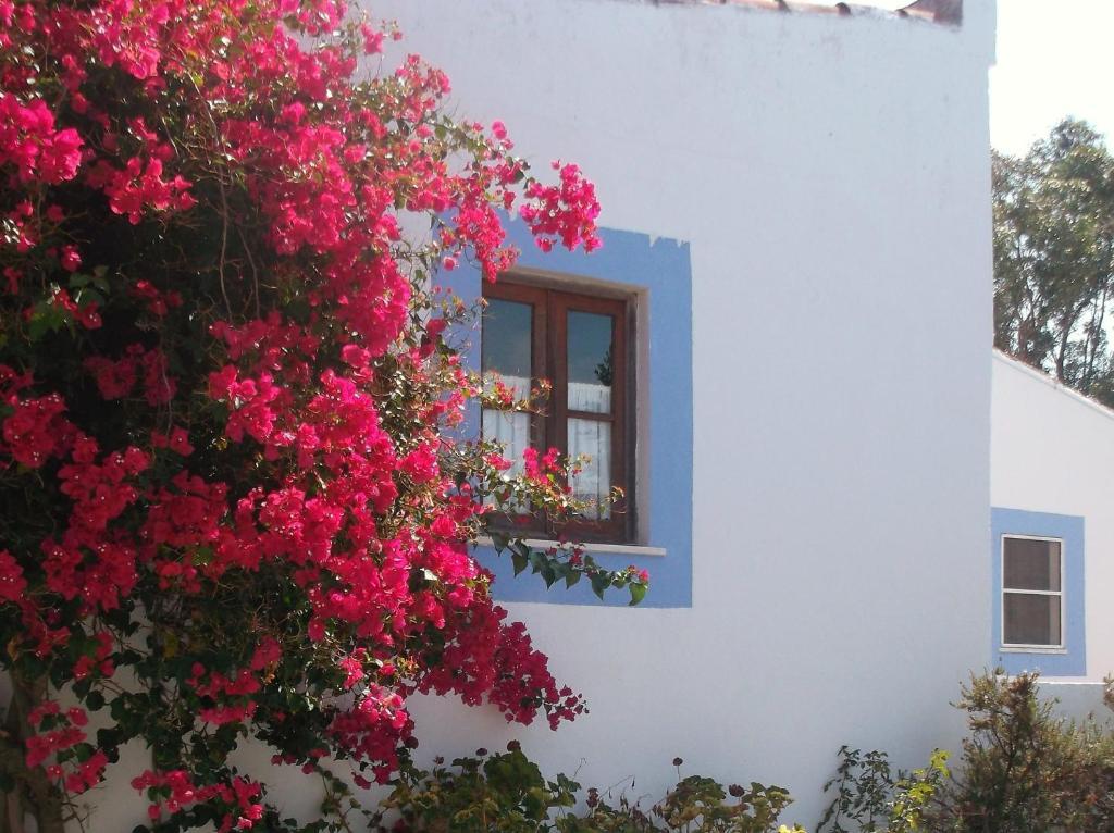 Apartamento com 1 Quarto (2 Adultos + 2 Crianças)