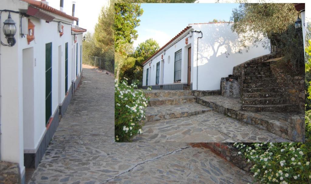 Estudio (2 adultos)