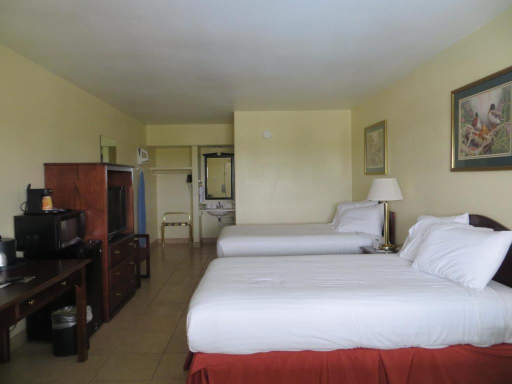 Double Room with Two Double Beds