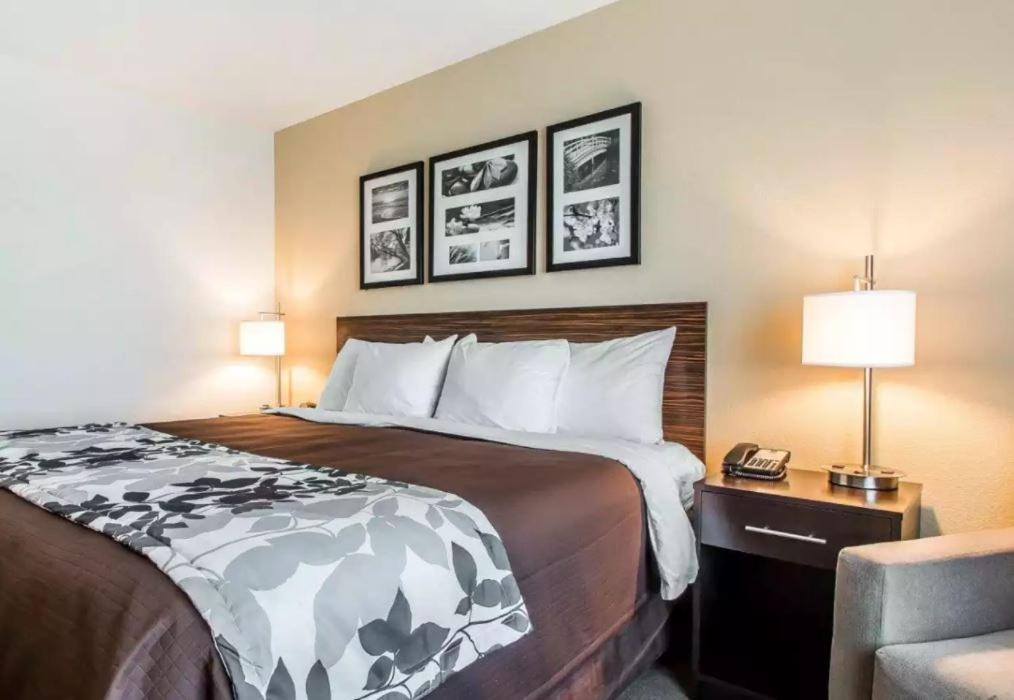 Standard King Room