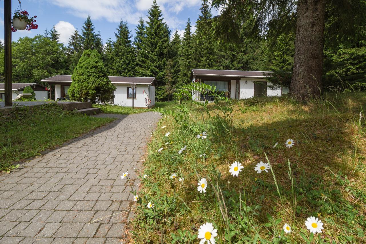 Bungalow (2-3 Erwachsene)