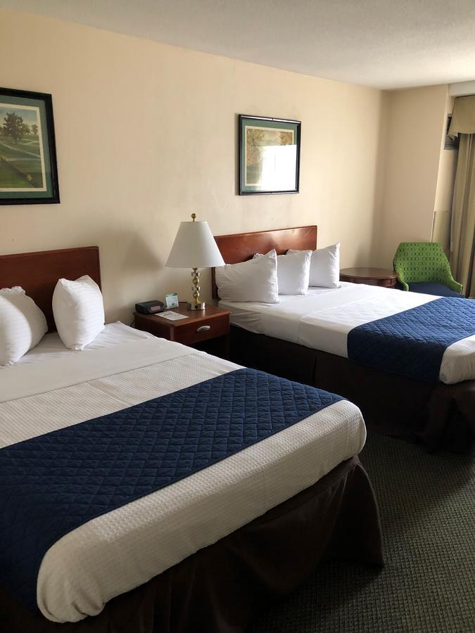 Double Room with Two Double Beds,676852659:JPEG