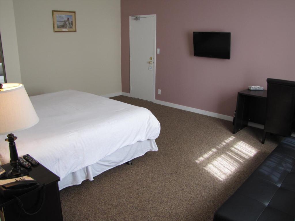 Suite de 1 dormitorio con sofá cama