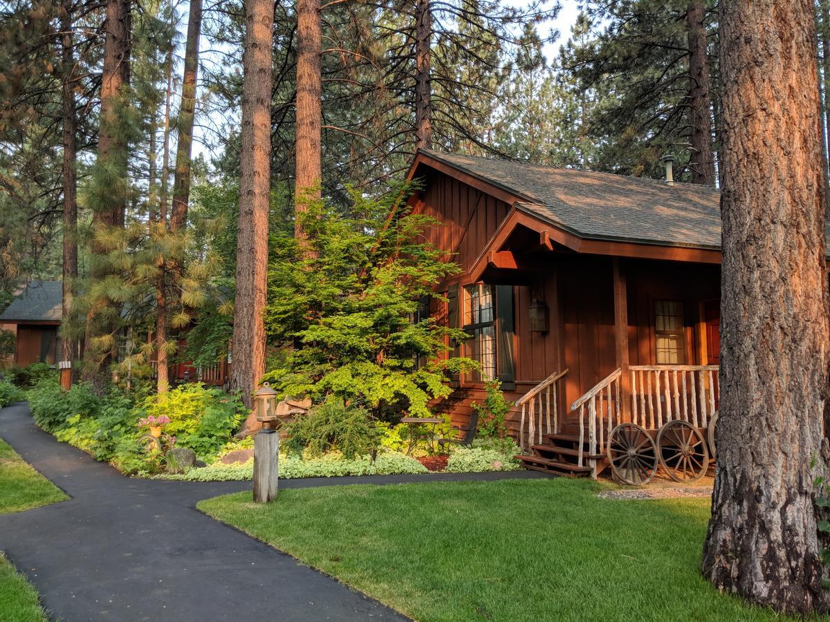 King Studio Cottage