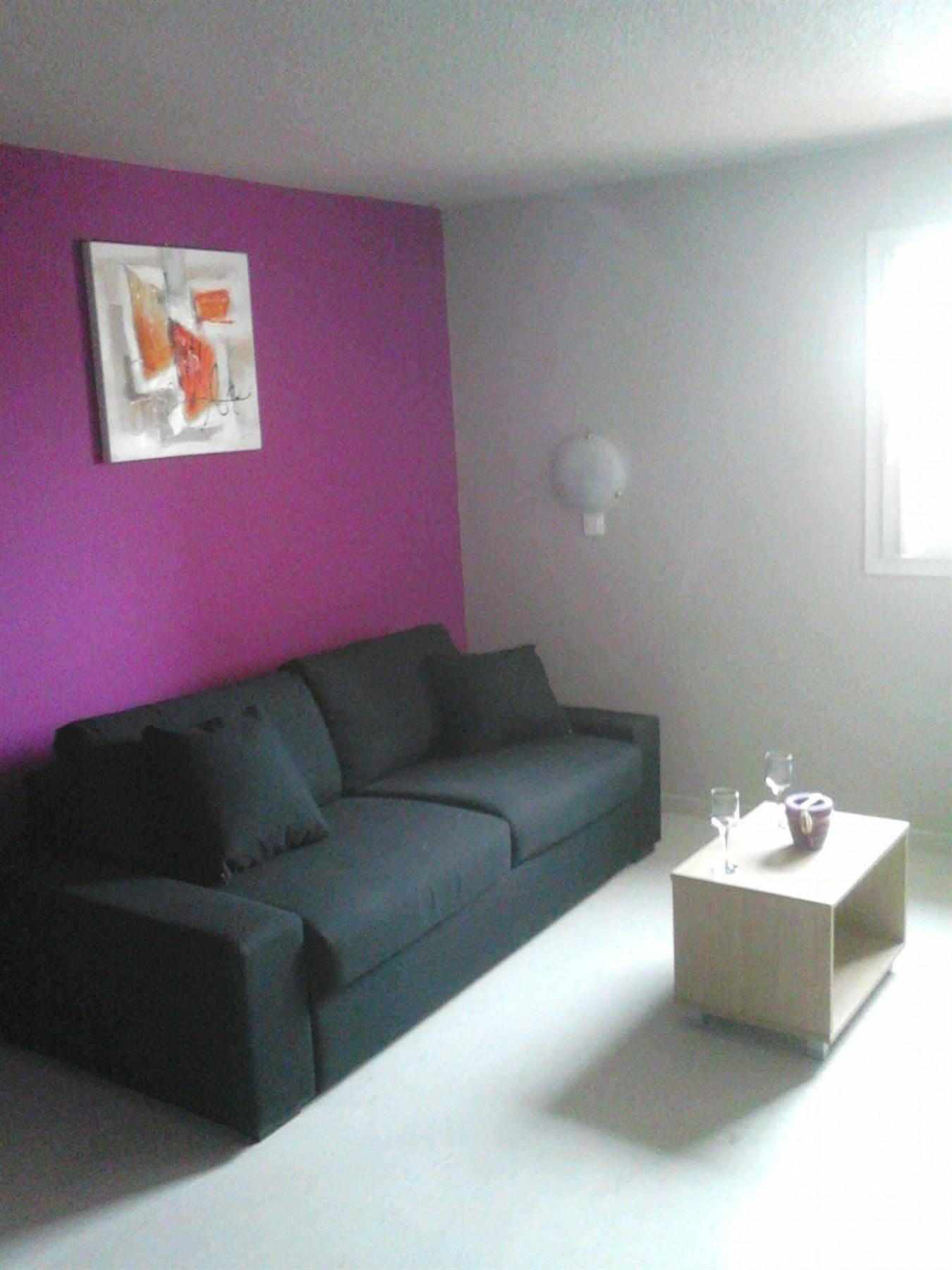 Appartement 1 Chambre