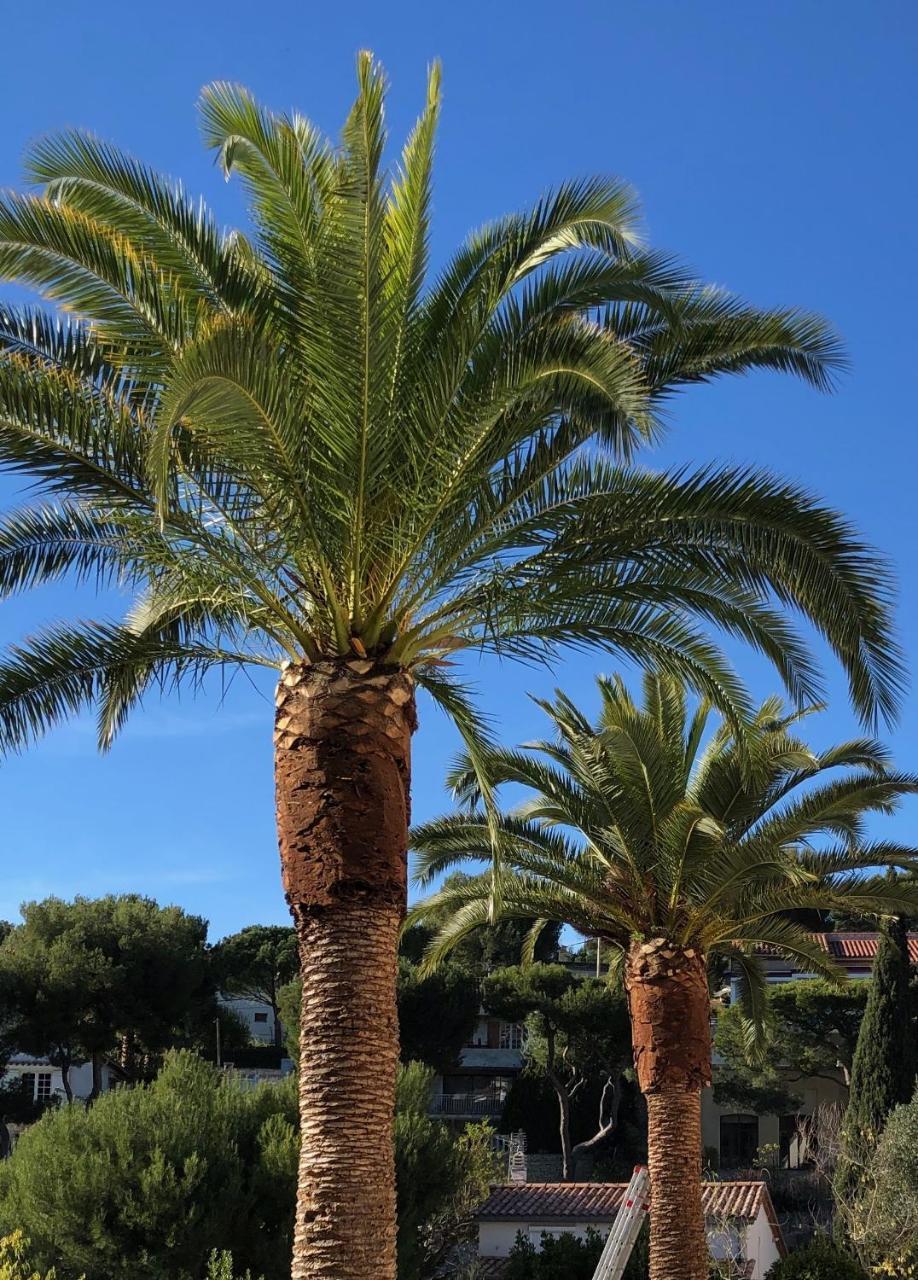 Chambre Lit Queen-Size - Vue sur Mer