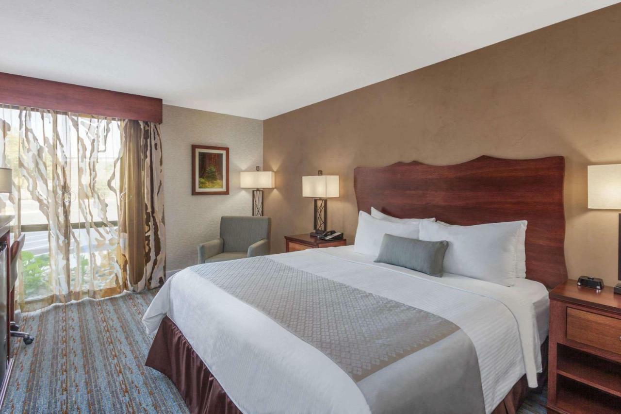 King Room with Roll-in Shower - Mobility Accessible/Non-Smoking
