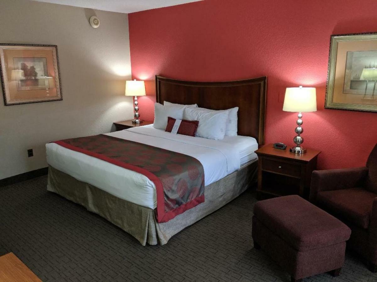 King Room,813432636:JPEG