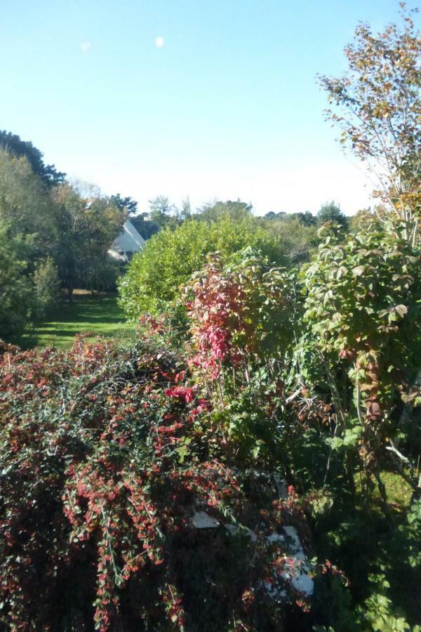 Appartement de Luxe - Vue sur Jardin