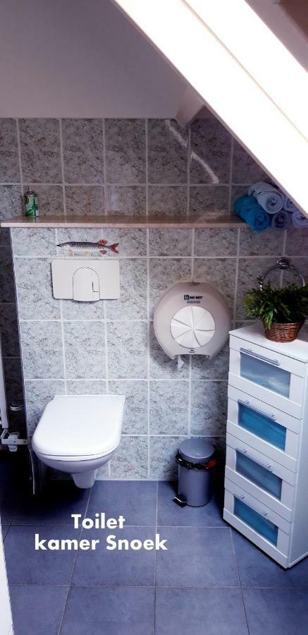 Budget Twin Room,902958259:JPEG