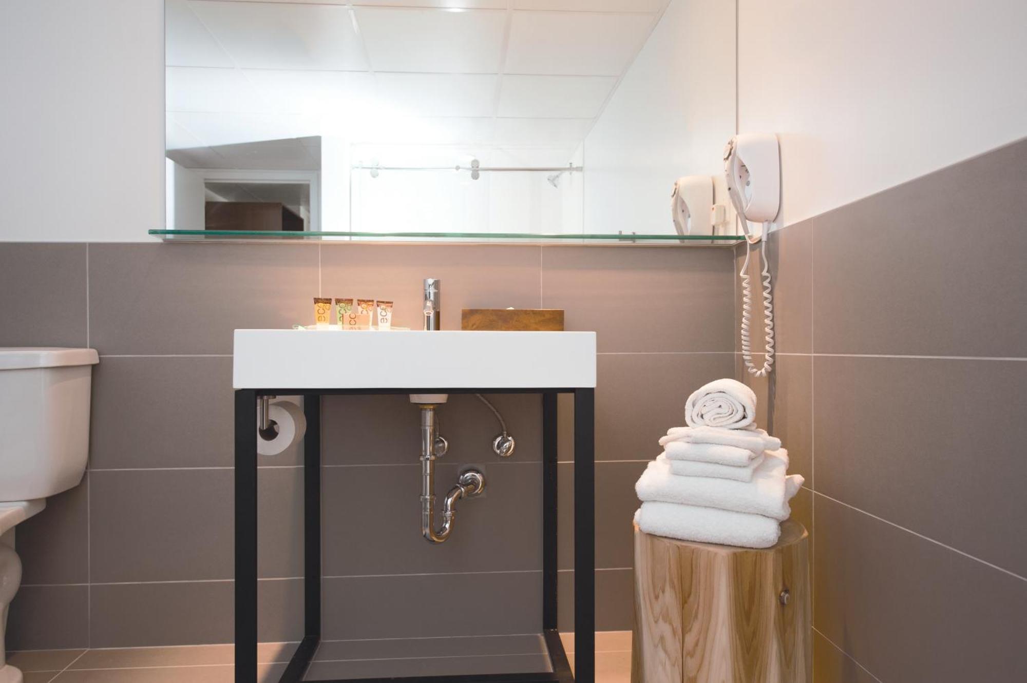 Standaardkamer met 2 Queensize Bedden - Diervriendelijk